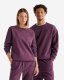 Roots One Crew - PURPLE PLUM Roots One Crew - PURPLE PLUM