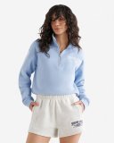 Roots Sporting Goods 99 Half Zip - CHALK BLUE Roots Sporting Goods 99 Half Zip - CHALK BLUE