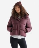 Roots Down Short Puffer - DEEP MAROON
